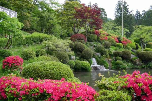 Za Toshogu jsou krásné japonské zahrady s rozkvetlými azalkami.