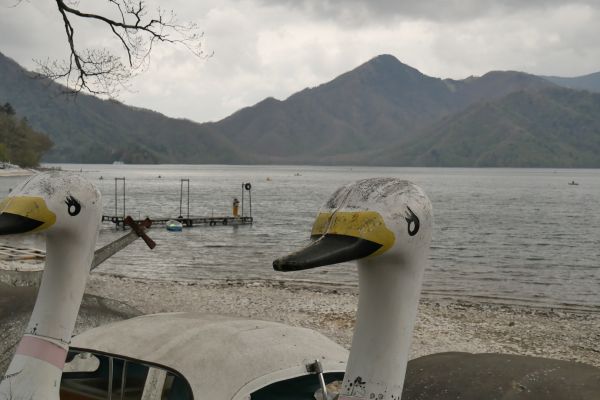 Břehy jezera jsou plné starých šlapadel.
