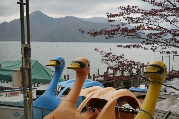 Břehy jezera jsou plné starých šlapadel.