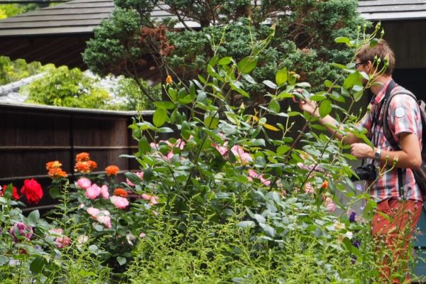 Květiny v Meigecuinu.