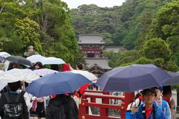 Deštivý den v komplexu Tsurugaoka Hachimangu v Kamakuře.