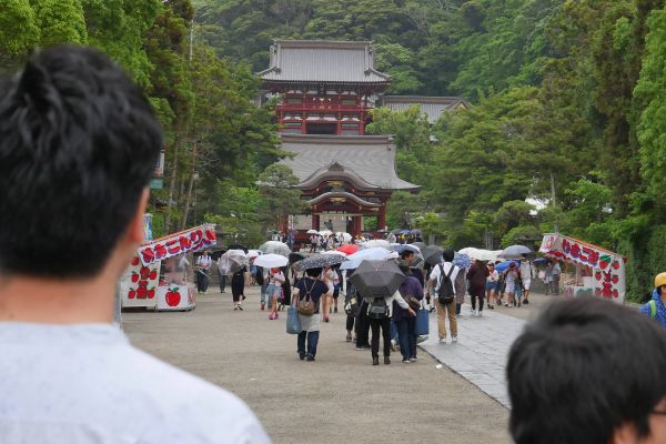 Tsurugaoka Hachimangu v Kamakuře.