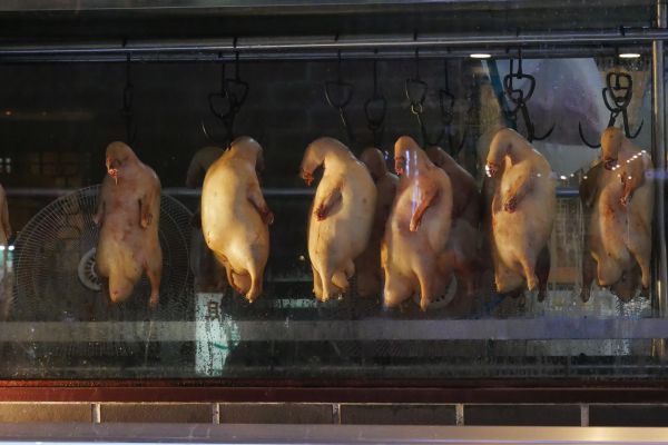 Čínská specialita, pořádná kachna.