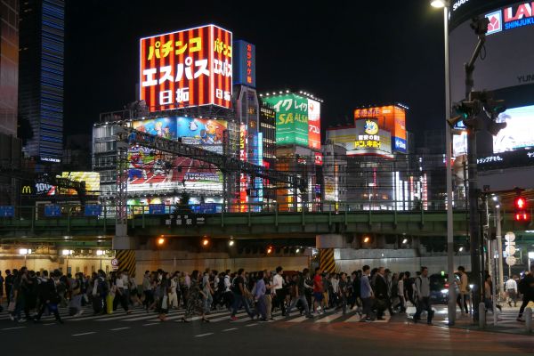Večer v Shinjuku.