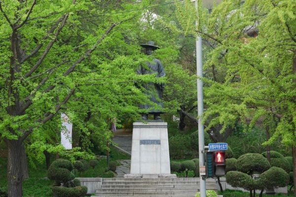 Jinanový háj na Namsanu.