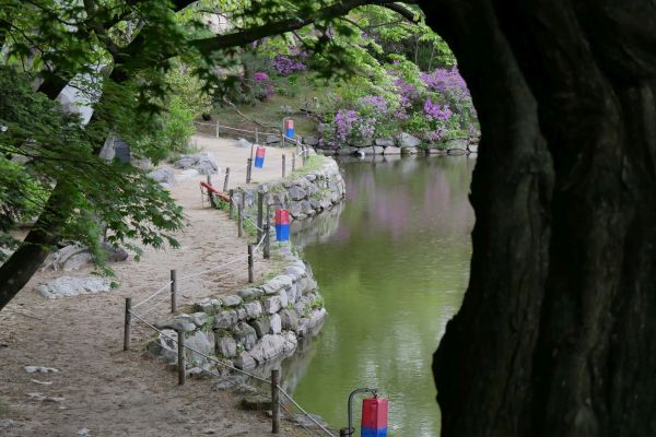 Jezero v palácových zahradách Changgyeonggung.