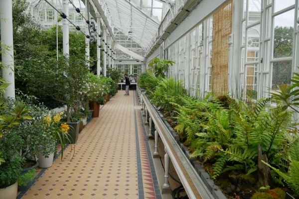 Botanická zahrada v pavilonu Daeonsil.