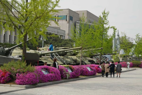 Kontrast tanků a rozkvetlých azalek.