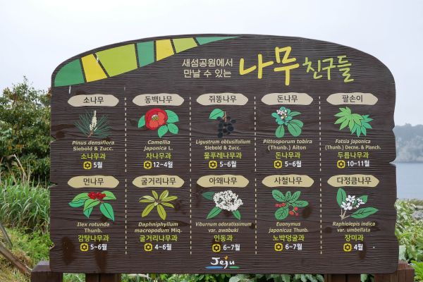 Na ostrůvku je naučná stezka po zajímavých rostlinách.