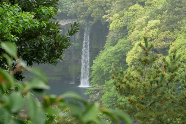 Vodopád Cheonjiyeon v Seogwipu.