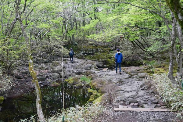 Národní park Hallasan.