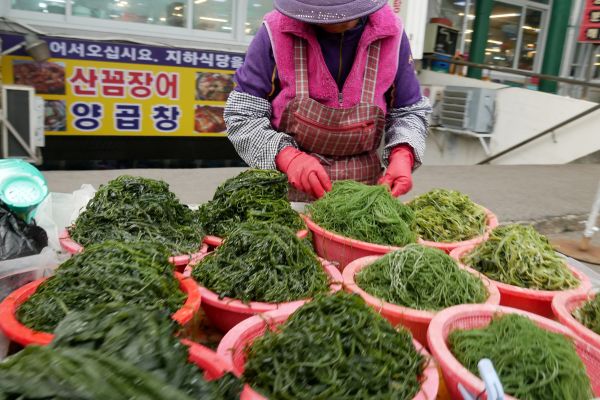 Kromě ryb a mořských plodů se zde dá sehnat třeba i mnoho druhů mořských řas.
