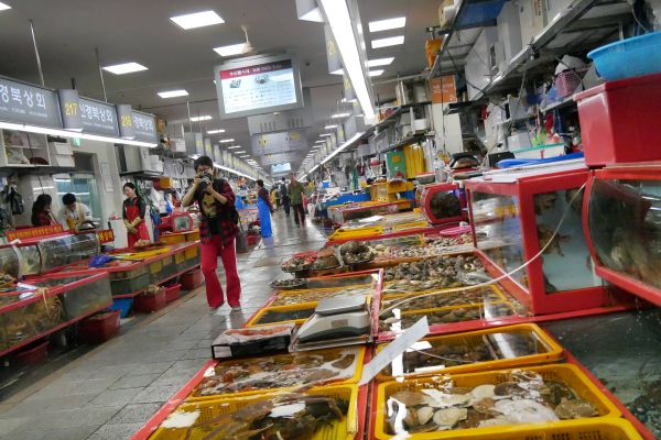 Je plné krámků obchodníků s rybami, mušlemi, krevetami, humry a vším dalším, na co si člověk vzpomene.