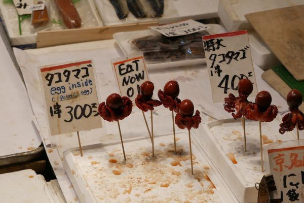 Nishiki market. Zde se dá sehnat mnoho zajímavých pochutin, od chobotniček...