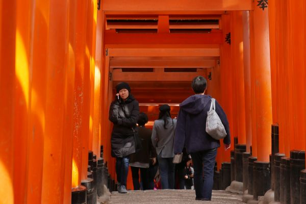 Tunely z bran torii.