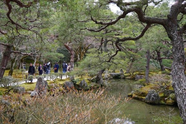 Zahrady v Ginkakuji.