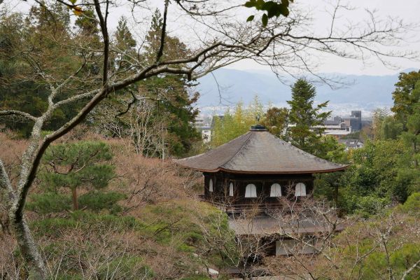 Zahrady v Ginkakuji.