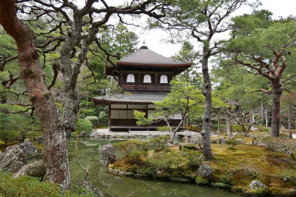 Celá zahrada skvěle pracuje s vodou.
