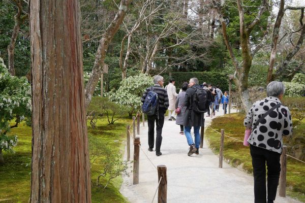 Vše v mechu, dokonale upraveno. Srdce perfekcionisty zaplesá.