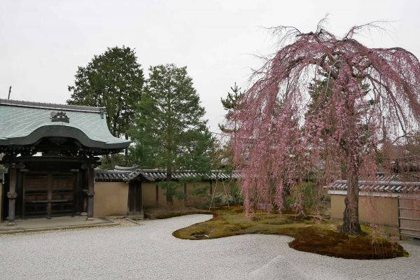 Chrámový komplex Kodaiji.
