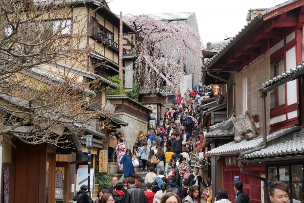 Rozkvetlá sakura na shodech v Higašijamě.